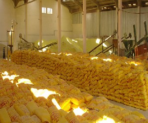 600 مليون طن احتياطي العراق من الكبريت