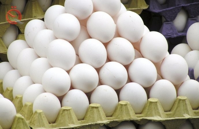 Agriculture: Work is underway to prevent the smuggling of imported poultry, eggs and meat 22972